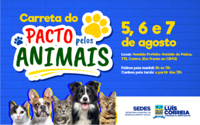 Luís Correia terá ação de castração gratuita para cães e gatos