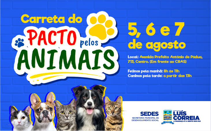 Luís Correia terá ação de castração gratuita para cães e gatos
